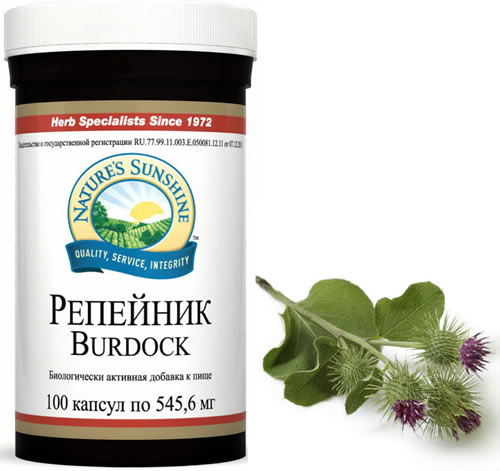 Бёрдок для пищеварения от NSP в Донецком регионе на сайте http://nspdonetsk.com