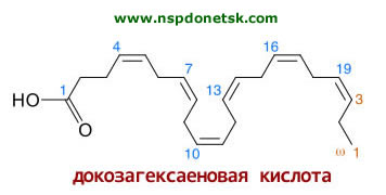 докозагексаеновая кислота - компонент омеги-3